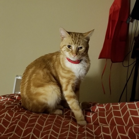 Meet your Posher, Natascha - Picture 2 of 4